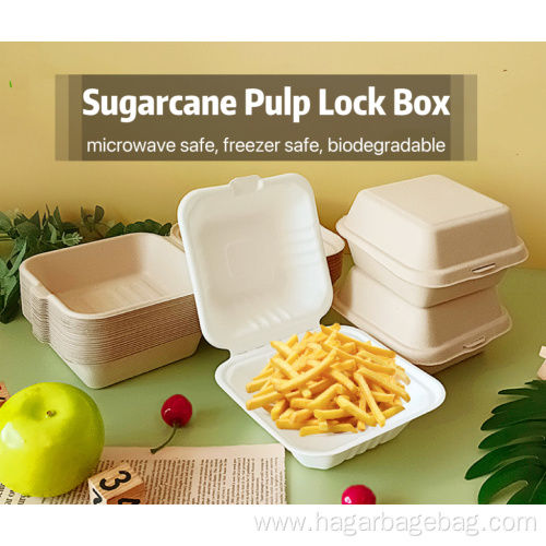 Sugarcane Biodegradable Bagasse Hamburger Takeaway Box